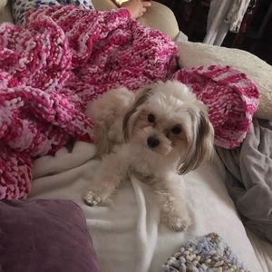 Meet your Posher, Litsa